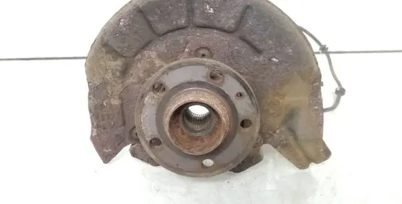 Skoda Roomster (5J) Front wheel hub spindle knuckle