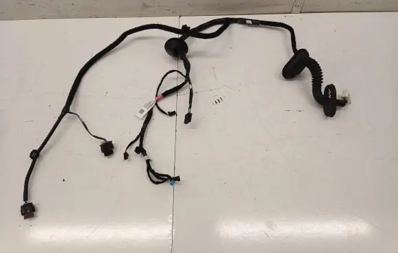 Tesla Model 3 Rear door wiring loom 206796500B