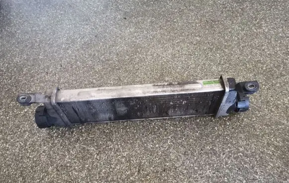 Mercedes-Benz A W168 Intercooler radiator A1685000000