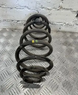 Renault Kangoo II Rear coil spring