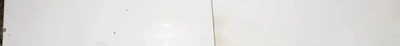 Honda Civic Front door trim (molding) 