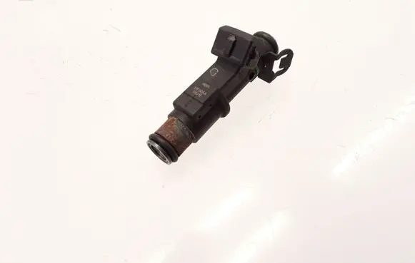 Citroen Xsara Picasso Fuel injector 01F005A