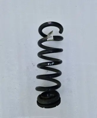 Rear coil spring