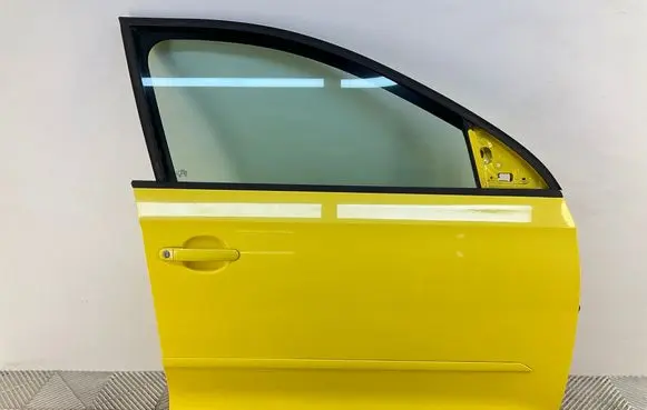 Skoda Rapid (NH) Front door 