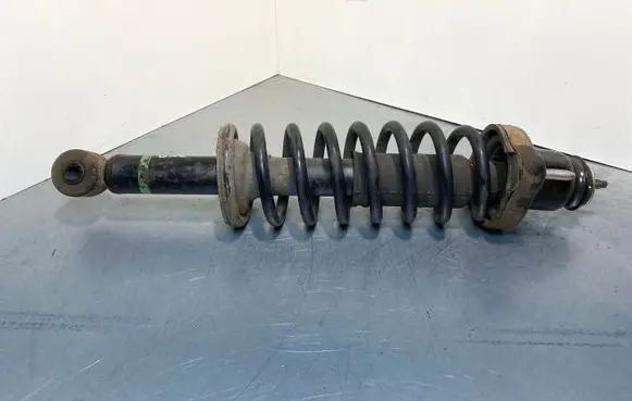 Mitsubishi Outlander Rear shock absorber/damper 4162A304
