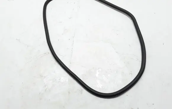 Renault Talisman Rear door rubber seal (on body) 828381534R