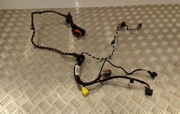 Volkswagen PASSAT CC Front door wiring loom 3C8971120B TAB016612K