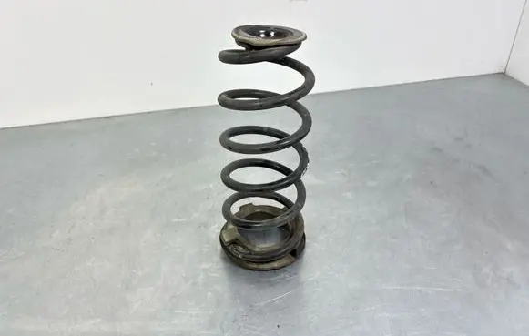 MG ZS Rear coil spring 50016285