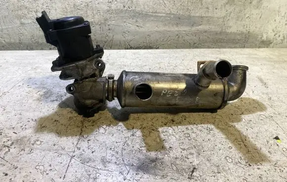 EGR valve cooler