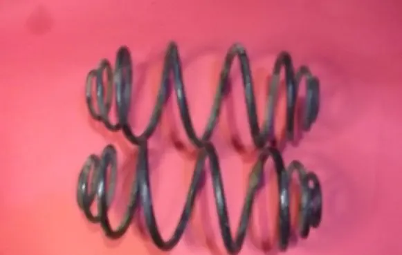 Opel Astra G Rear coil spring 1364688