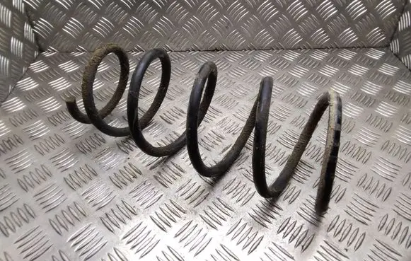 Front coil spring