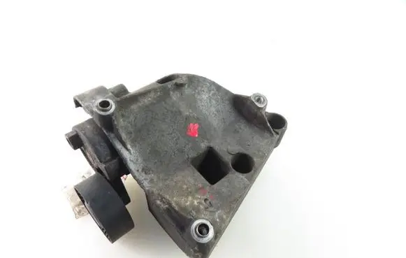 BMW 3 E46 Alternator belt tensioner 