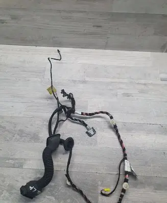 Front door wiring loom
