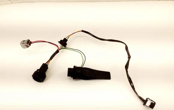 Other wiring loom