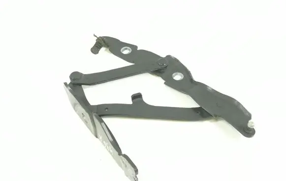 BMW Z4 E89 Engine bonnet/hood hinges 7191512