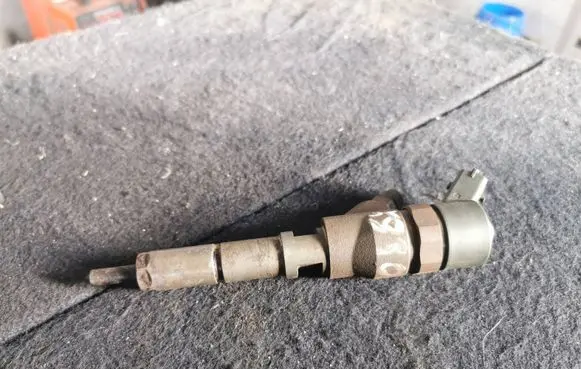 Peugeot 406 Fuel injector 0445110008 9635196580
