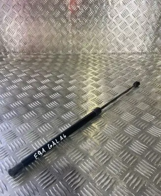 Tailgate strut