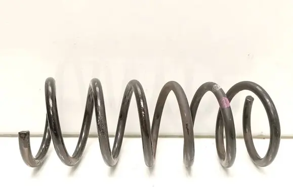 Rear coil spring