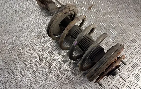 Hyundai Santa Fe Front shock absorber/damper