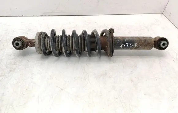 Peugeot 407 Rear shock absorber with coil spring 
