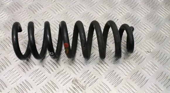 Mercedes-Benz C W205 Rear coil spring