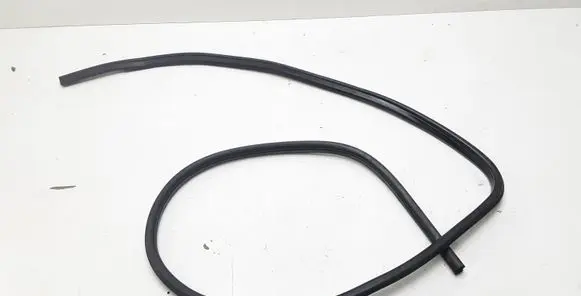 BMW X1 E84 Front door rubber seal 
