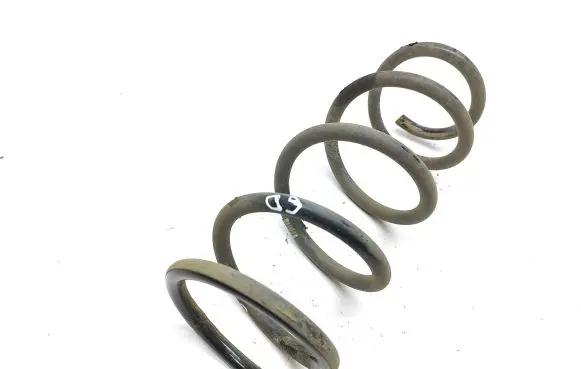 Ford Focus Rear coil spring