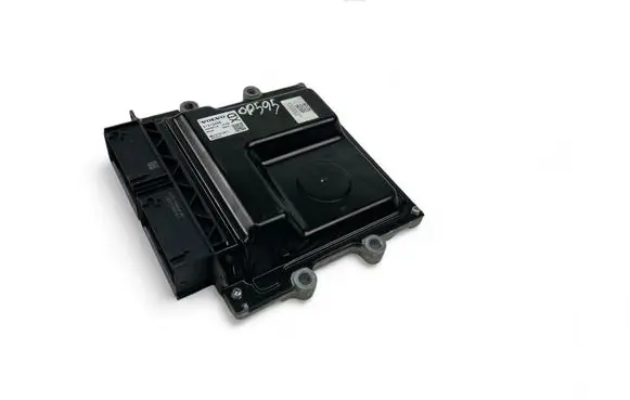 Engine control unit/module ECU