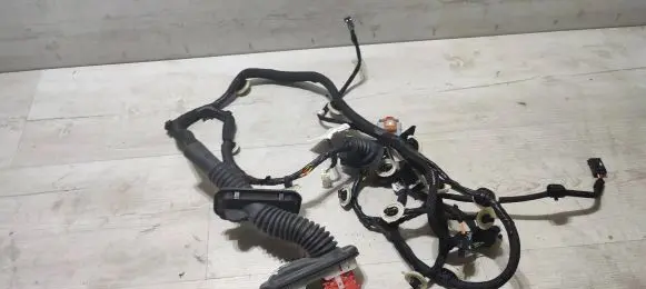 Opel Corsa F Front door wiring loom 9835933380 934841