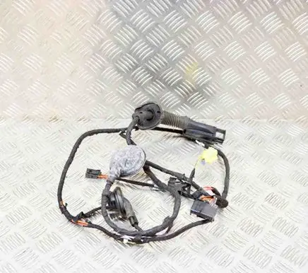Audi Q5 SQ5 Front door wiring loom 8R0971030CH