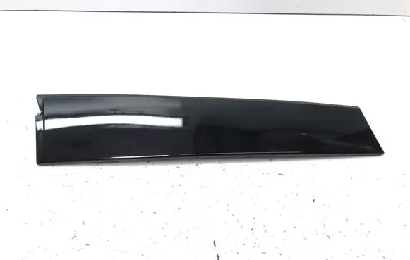 Front door trim (molding)