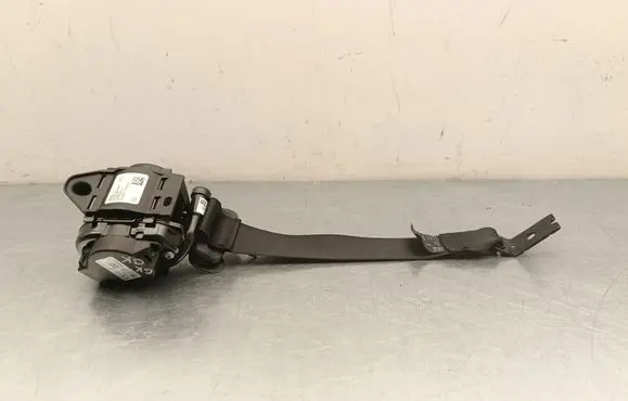 Tesla Model Y Juniper Rear seatbelt 3857805E1F