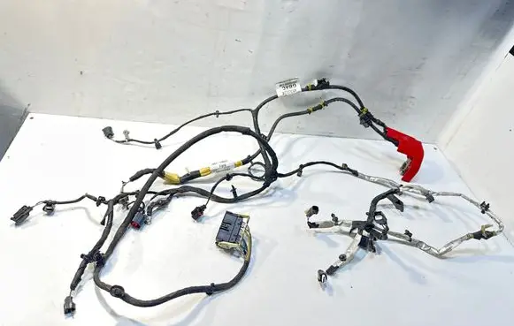 Ford Focus Positive wiring loom JX6T14305 JX6T14B060