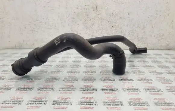Volkswagen PASSAT B5 Engine coolant pipe/hose 8D0121055F