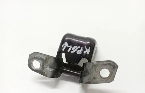 Mazda CX-7 Rear door lower hinge