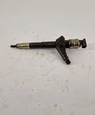 Nissan Pathfinder R51 Fuel injector 16600EC00A