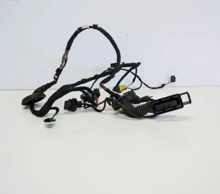 Audi A7 S7 4G Front door wiring loom 4G8971030CA