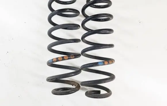 Rear coil spring