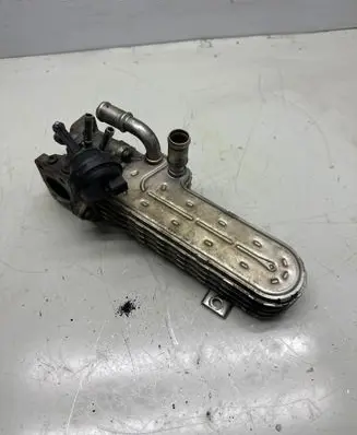 EGR valve cooler