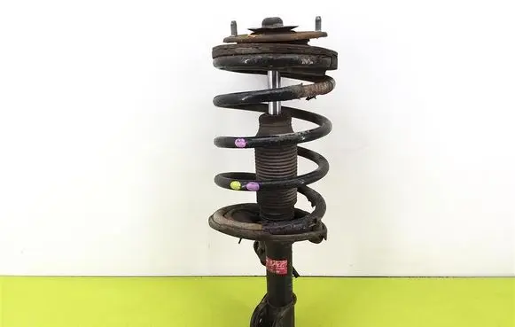 Hyundai Santa Fe Front shock absorber with coil spring