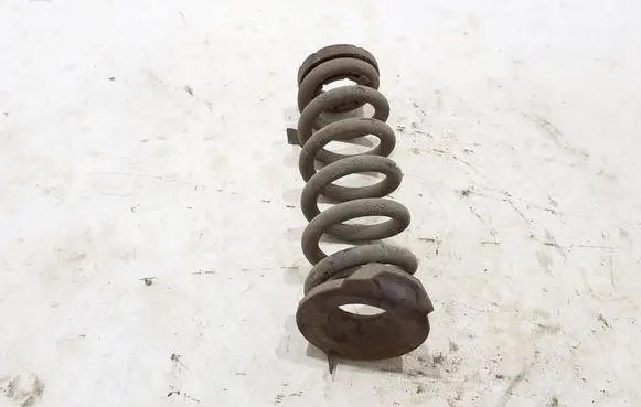 Rear coil spring