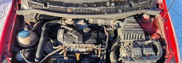 Volkswagen Fox Engine BNM