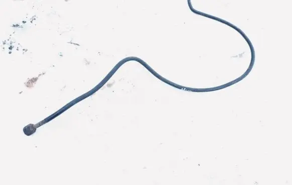 Citroen C4 I Power steering hose/pipe/line