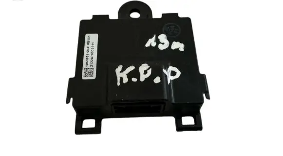 Tesla Model S Door control unit/module 106965100E 2122A70002911