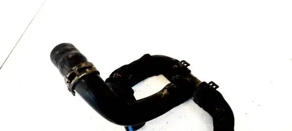 Mercedes-Benz E W210 Engine coolant pipe/hose 738000248