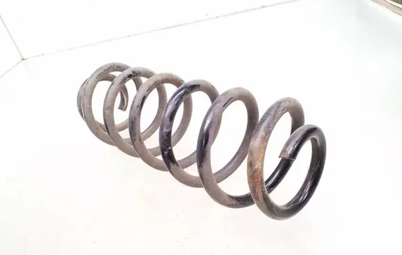 Rear coil spring