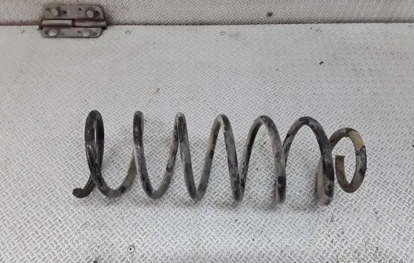Rear coil spring
