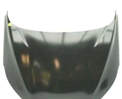 Infiniti QX50 (J50) Engine bonnet/hood F51005NAMB