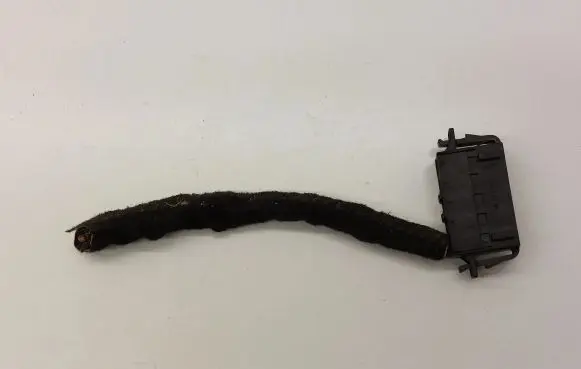 Audi A4 S4 B8 8K Other wiring loom 1J0972775