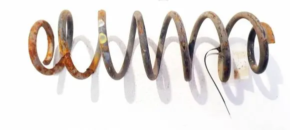 Peugeot 307 Rear coil spring 